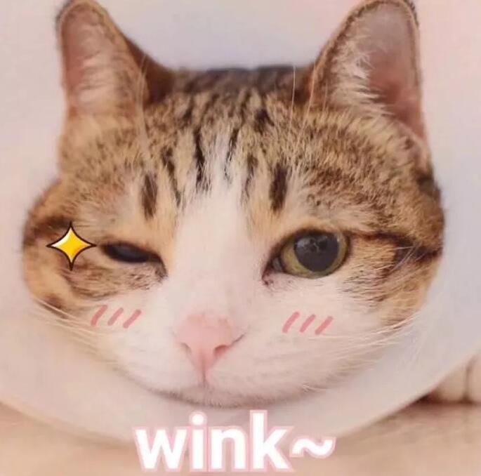 这些宝藏好物别轻易尝试,你们发现过哪些宝藏文具好物