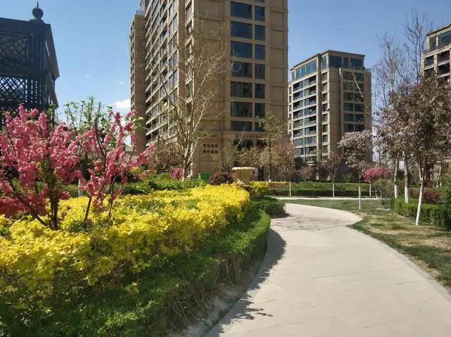 绿地城二期绿化乌鲁木齐,乌鲁木齐中海万锦公馆绿化环境