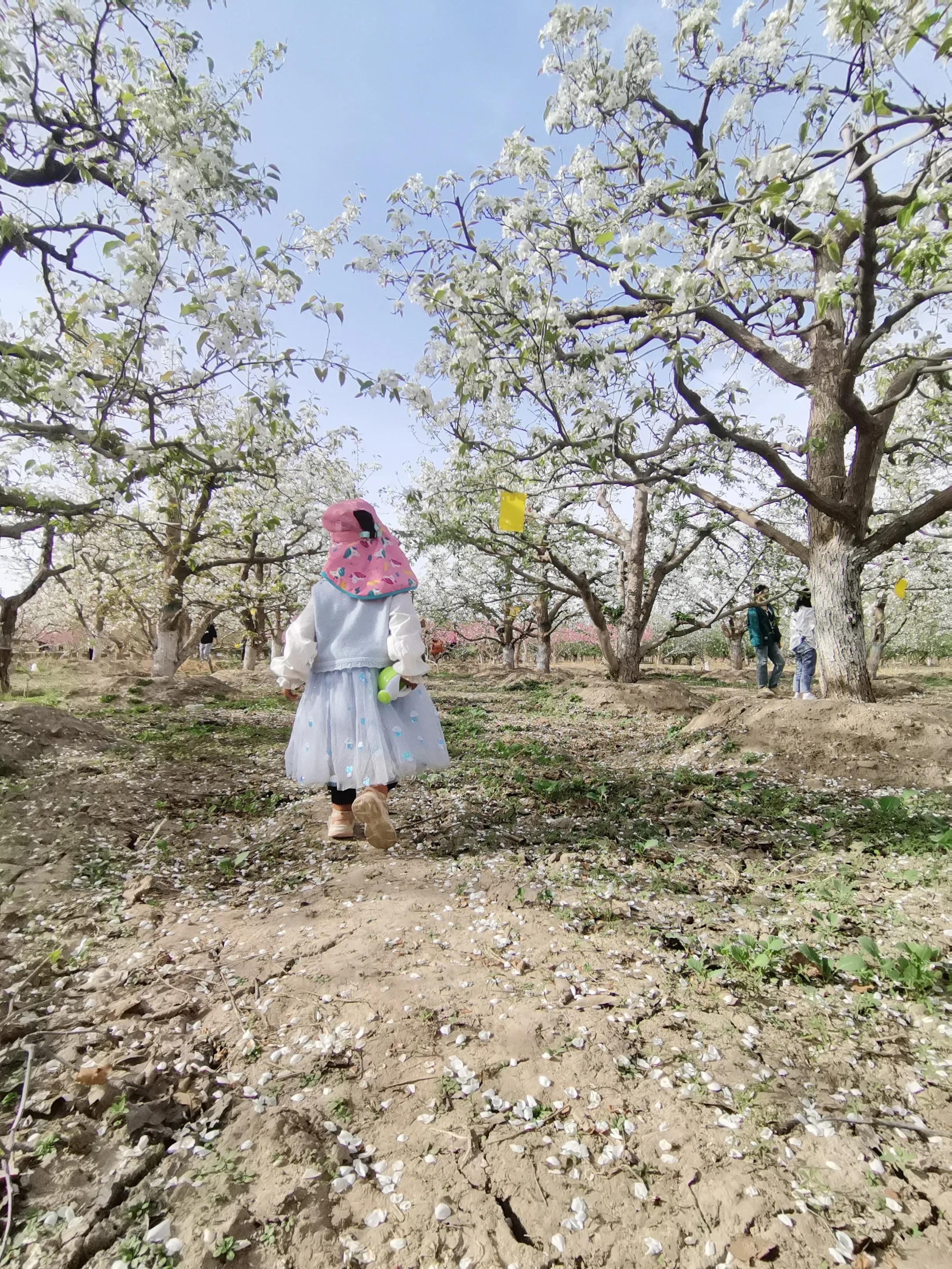 要不要生二胎听听专家们建议,要不要生二胎听听过来人的建议