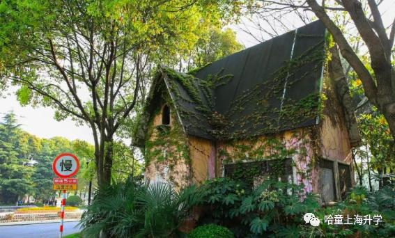 十二年一贯制，升学上牛校！这所老牌民办学校竟有野生鸟类观测园