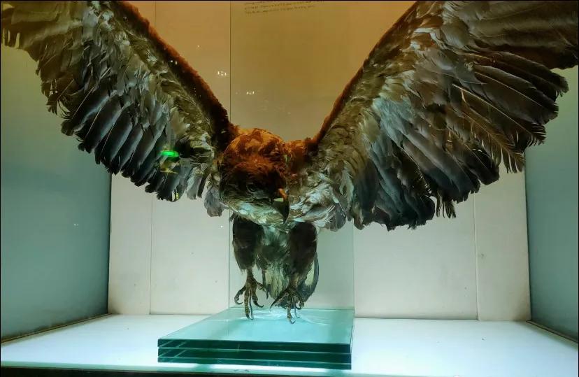 上海科技馆官网,上海科技馆球幕影院