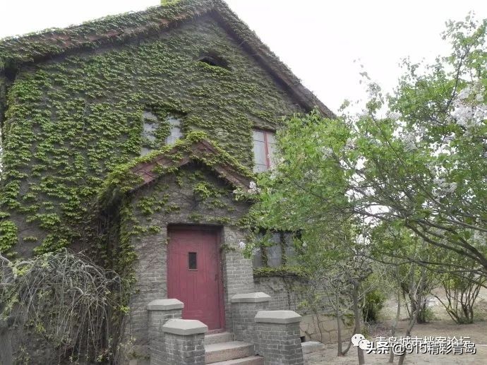 即墨一中简介,青岛即墨一中现状