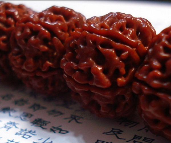 金刚菩提真假鉴别最简单方法,尼泊尔金刚菩提真假辨别