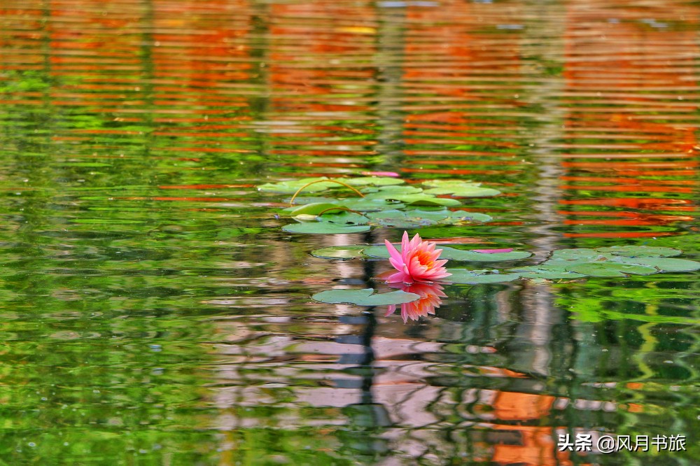 广东佛山百岁名园40年建成,关山月题名,罗哲文称它岭南第一园