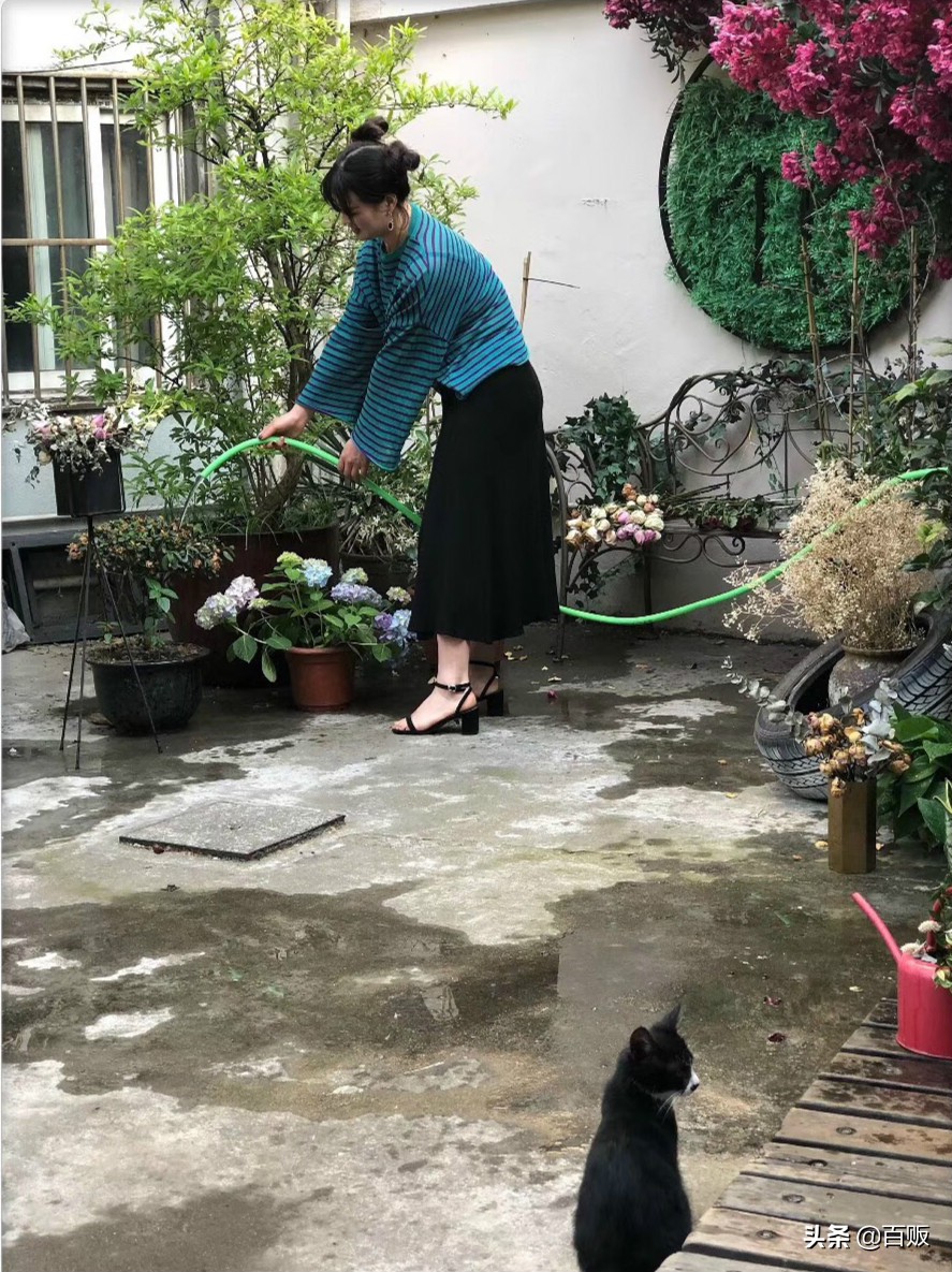 打造森系花房,闹市中的私家庭院花房