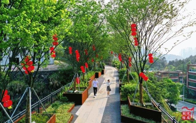 福州鼓楼为什么这么出名,福州鼓楼区分析