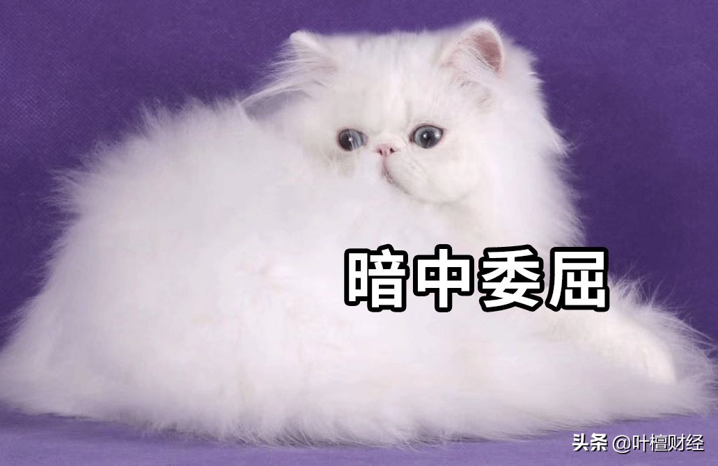 不可思议超越,不可思议的深圳房价