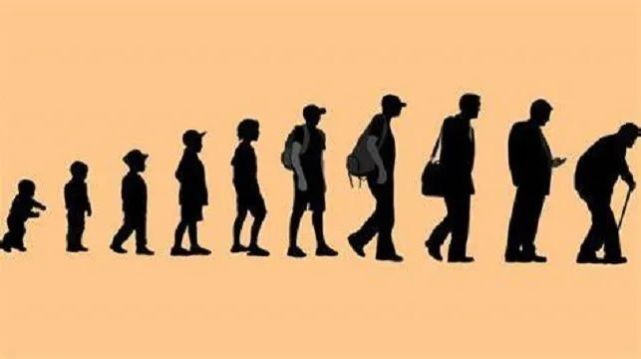 什么样的体重最长寿,50岁以后体重多少最长寿