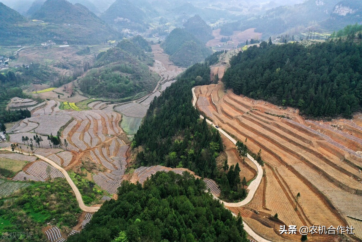 佳禾农业合作社,重庆市潼南区伟凤农机专业合作社