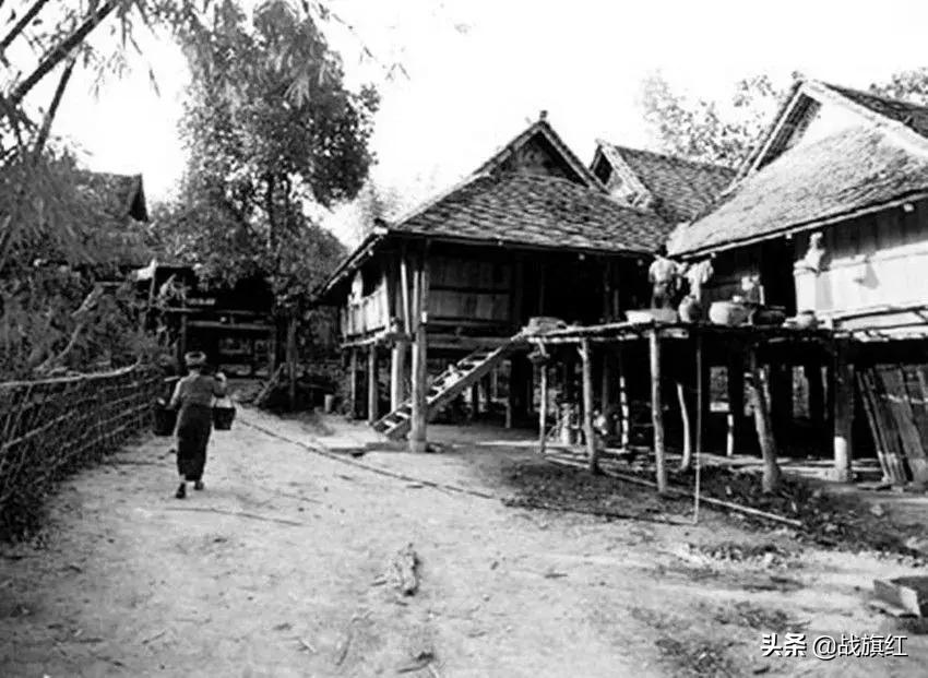 水牛深受蚂蟥之害,大学生好心涂敌敌畏,不料水牛中毒身亡