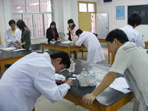 药学专业前景和待遇,卫校药学专业有前途吗