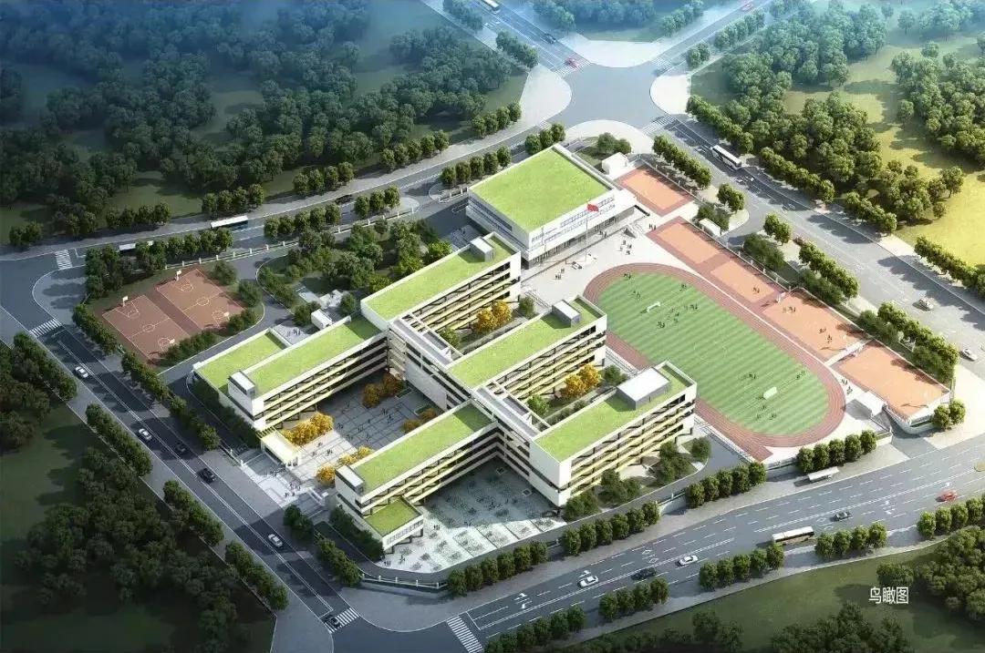 家长愁秃了头！厦门多所学校生源爆满，部分学校超员