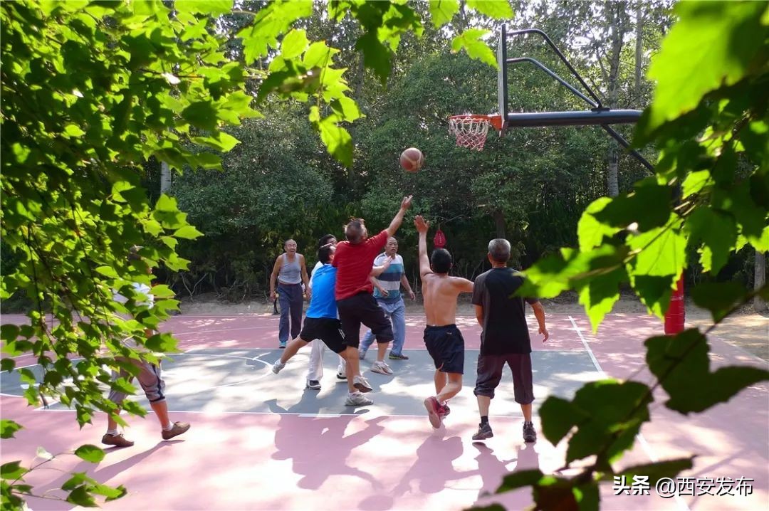 西安教育发布,平安西安最新发布