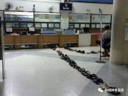 五一出游必备十大指南,五一旅游要避开哪些坑