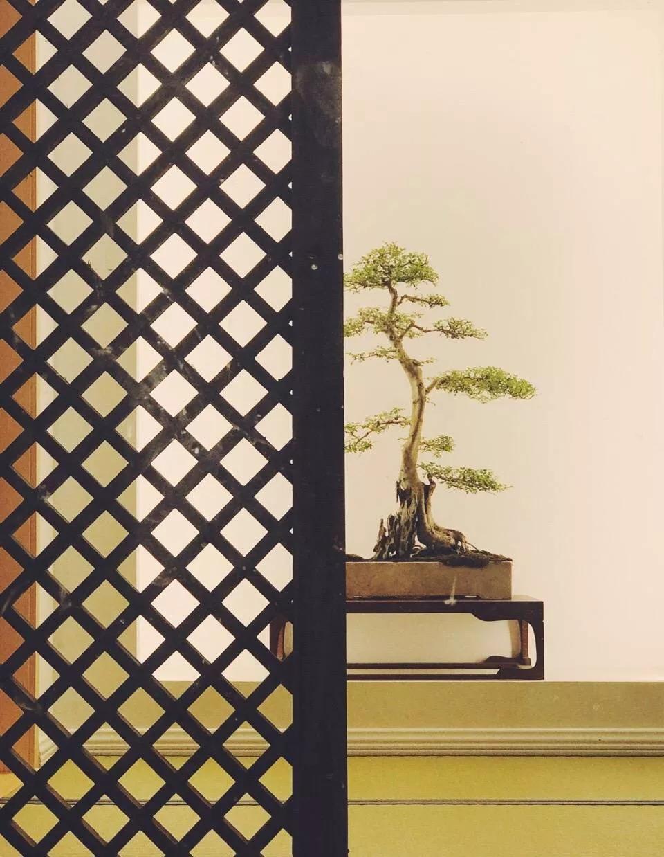 历史遗忘的老家具,历史的温度值得购买吗