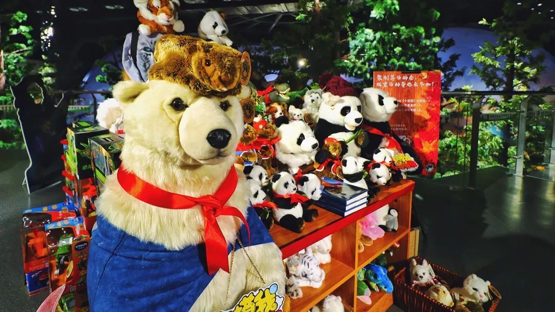 青岛贝林自然博物馆,青岛贝林博物馆门票优惠政策