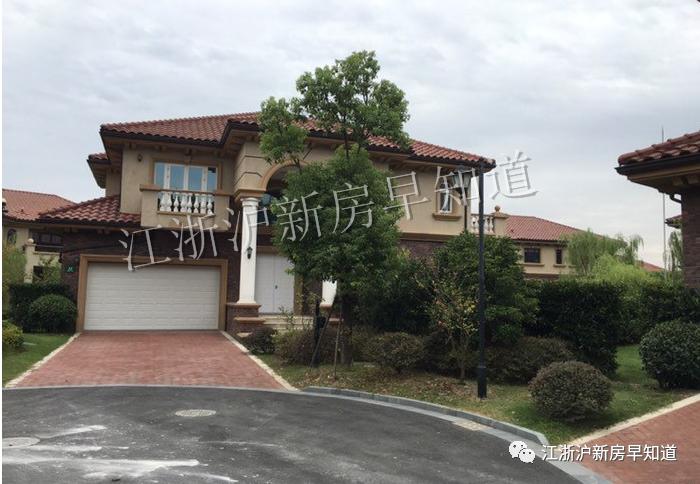 迪士尼别墅楼盘,上海浦东迪士尼花海自建房出售