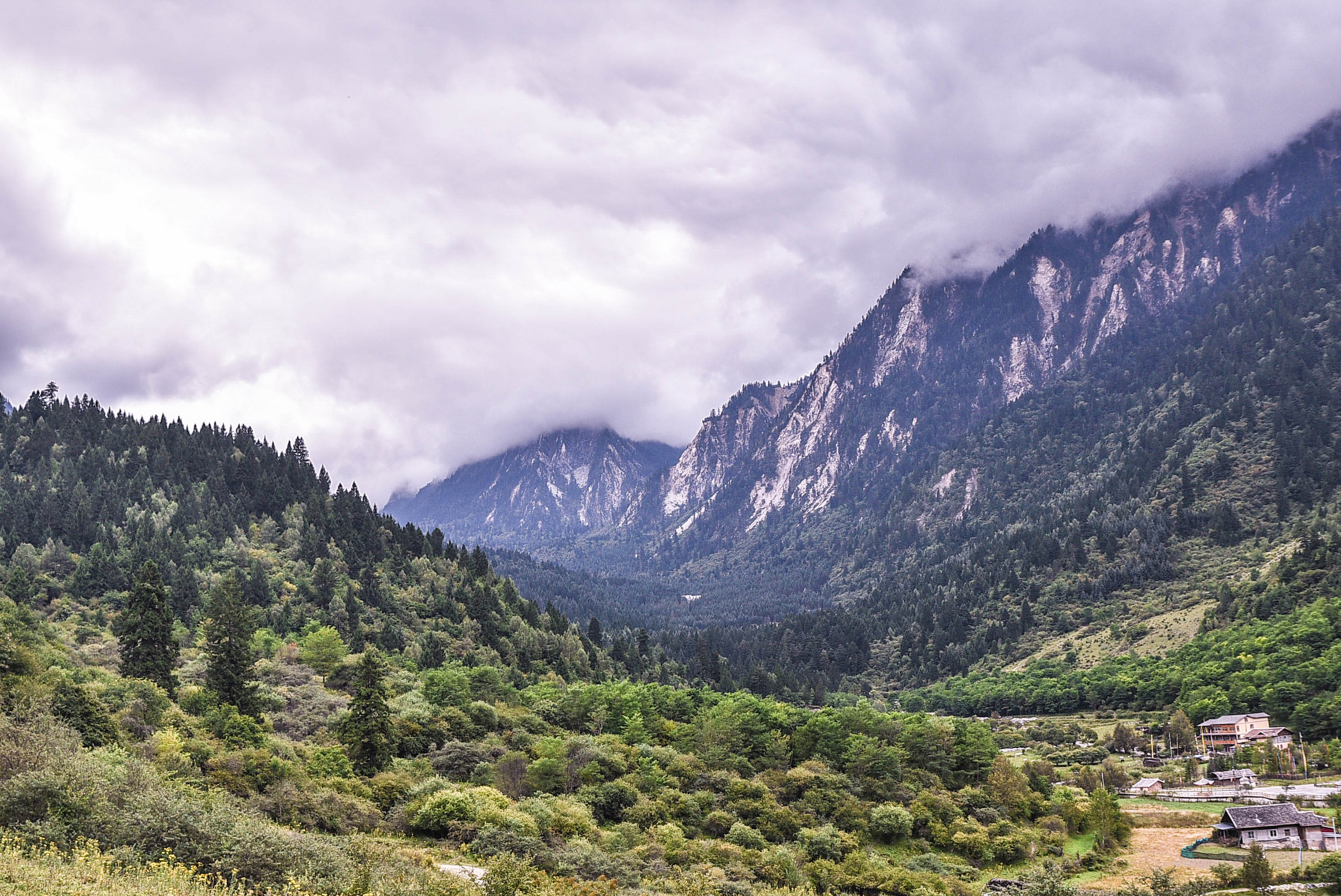 秋天九寨沟最美的季节,秋天九寨沟美景图片
