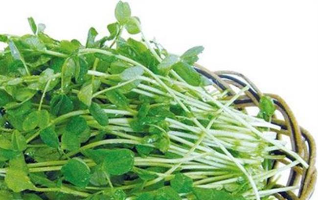 省钱技能有哪些,省钱却有用的技能