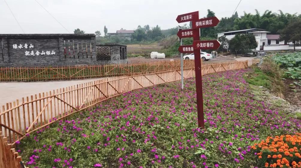 井研未来十年城市规划,井研三江镇