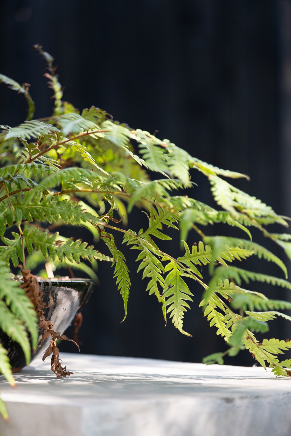 HoodCliff度假住宅，华盛顿州