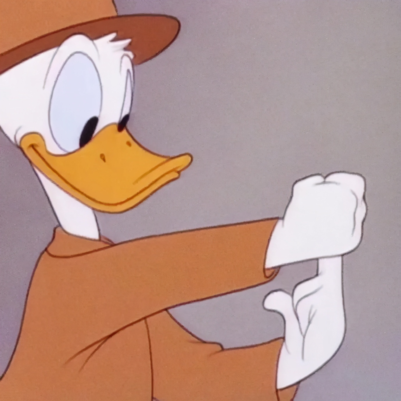 100张好看不常见的微信头像,适合中年女人高雅的微信头像