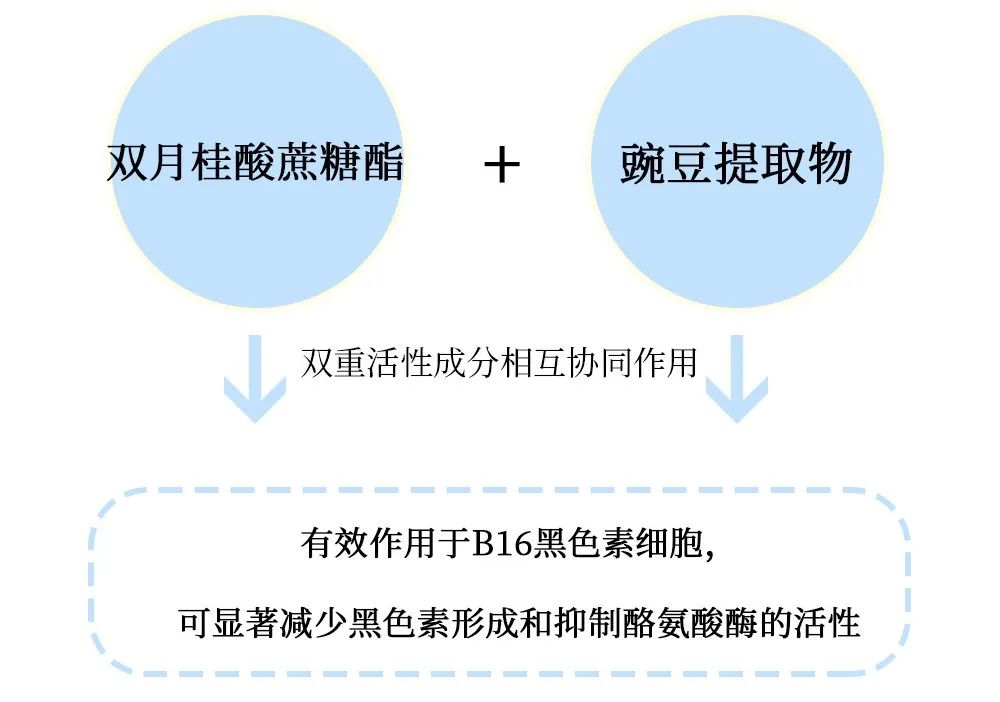 ​真是个“斑”脚石！（上集）