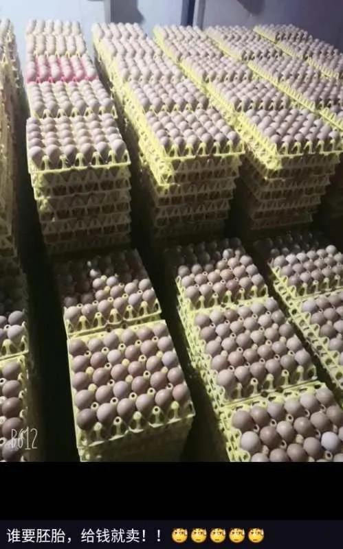 在石家庄一个月工资3800算低吗,在石家庄你的收入是多少