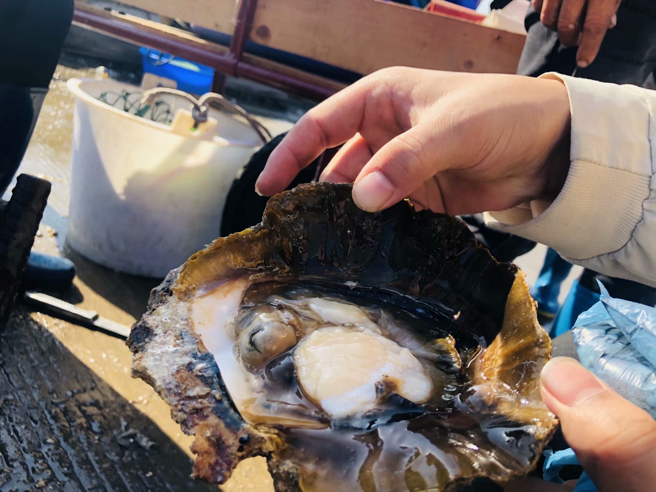 成都夫妻7天花5000玩遍涠洲岛（最后有防踩坑攻略）