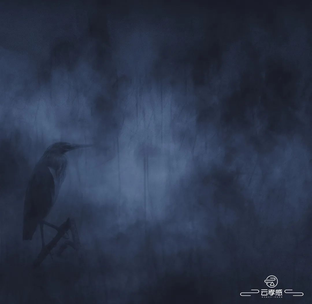 李鸿飞摄影作品初春,李鸿飞画家