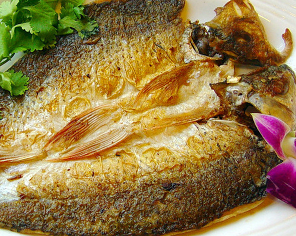 无论煎什么鱼一定不要先下油锅,煎鱼时可别直接下油锅记住这3点