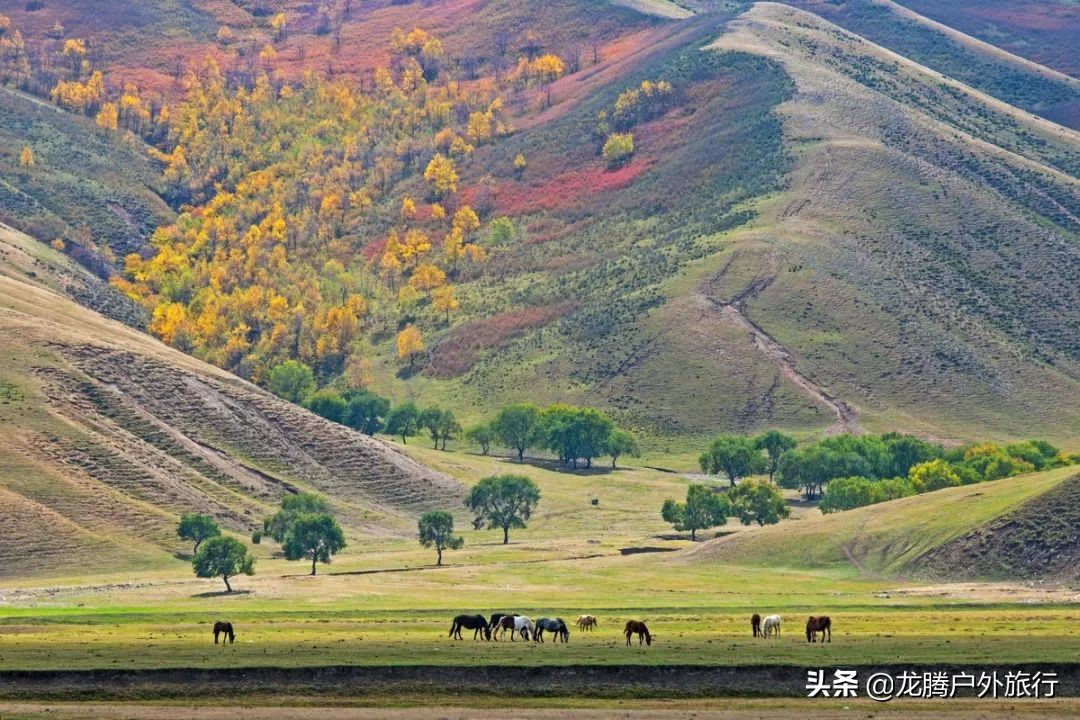 内蒙古最后的秘境！一脚跨3省，美了4季，高铁直达却低调了5000年​