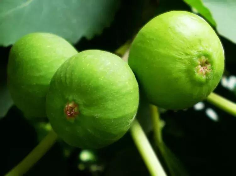 夏日威海旅游攻略,夏天威海旅游攻略自由行