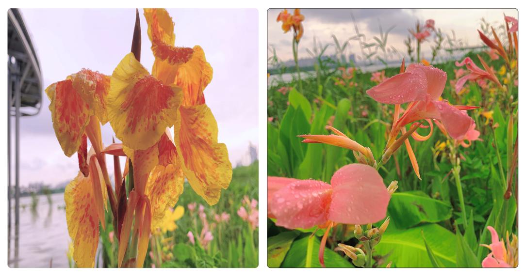 珠海平安夜打卡地点推荐,珠海旅游打卡景点大全排名榜