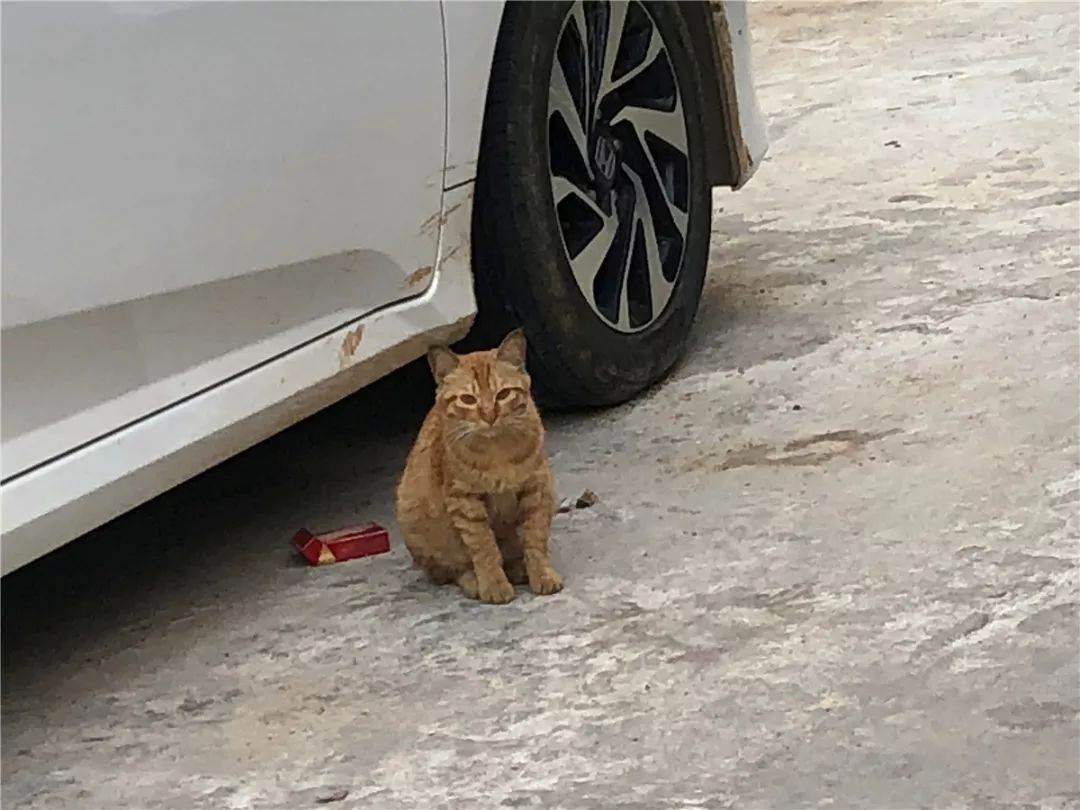 厦门10元店小商品最全批发市场,厦门最大的小商品批发市场在哪里