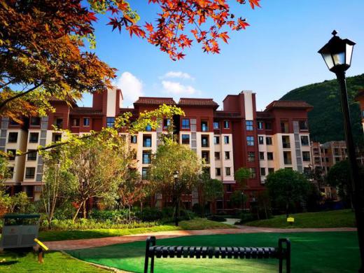 重庆贵州避暑旅游景点,离重庆最近的贵州避暑胜地