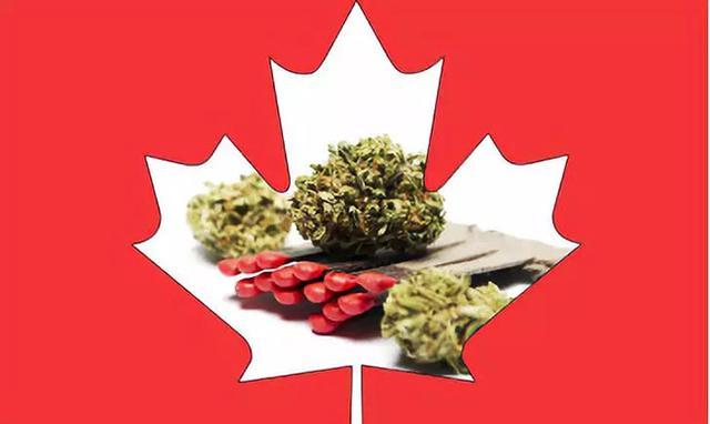 加拿大入境不良记录海关多久消除,入境加拿大禁品