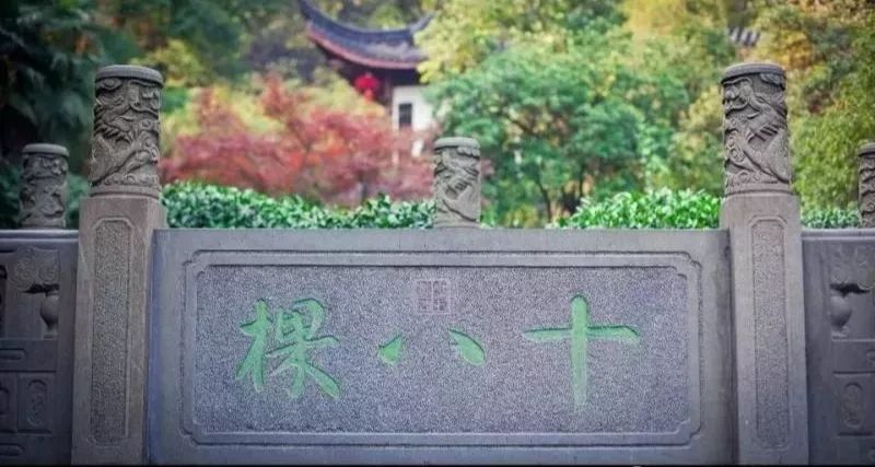 中国十大贵的茶叶,中国最贵十种茶