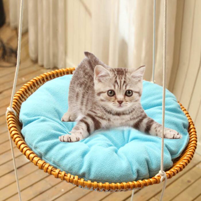 猫最好用什么猫窝,各种猫窝的视频大全