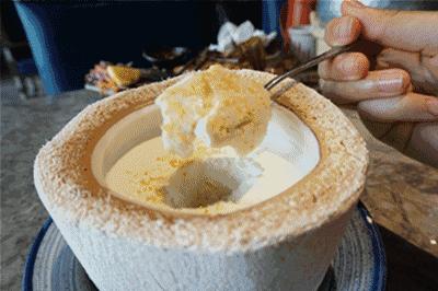 椰子控,椰子控的福音