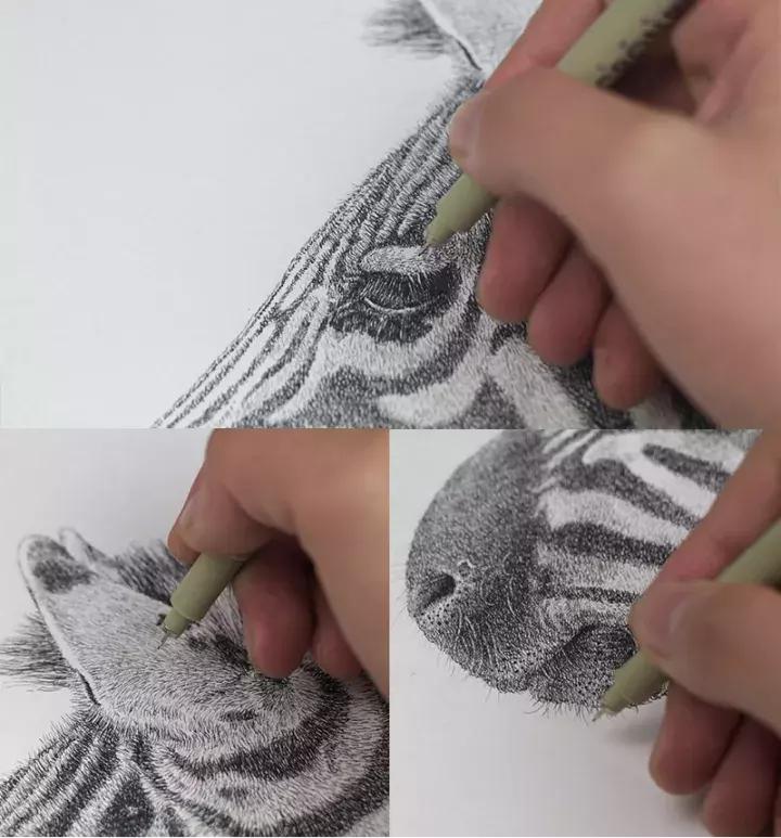 小央美钢笔画视频,极品五大钢笔画简直美爆