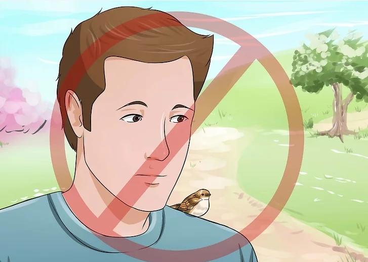 你有没有养过小动物,你有没有想过要养一只猫