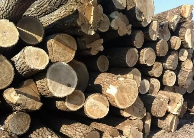 关于柴的来历,几种常用木材的区别