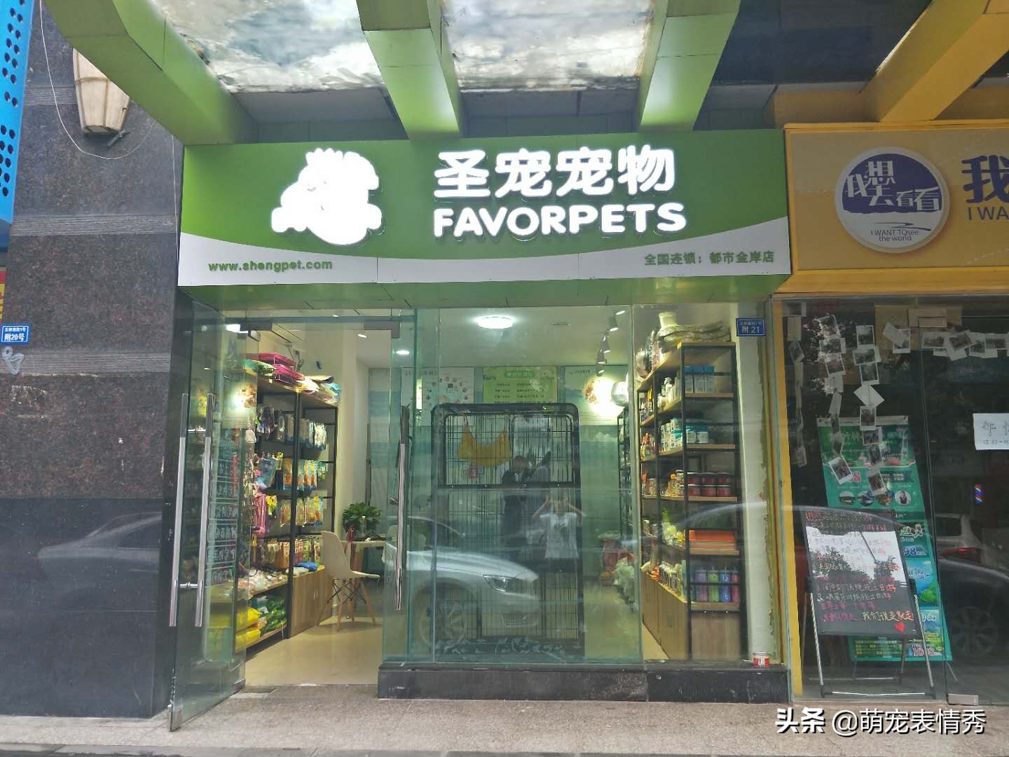 开宠物店的流程是什么,宠物店给宠物洗澡流程