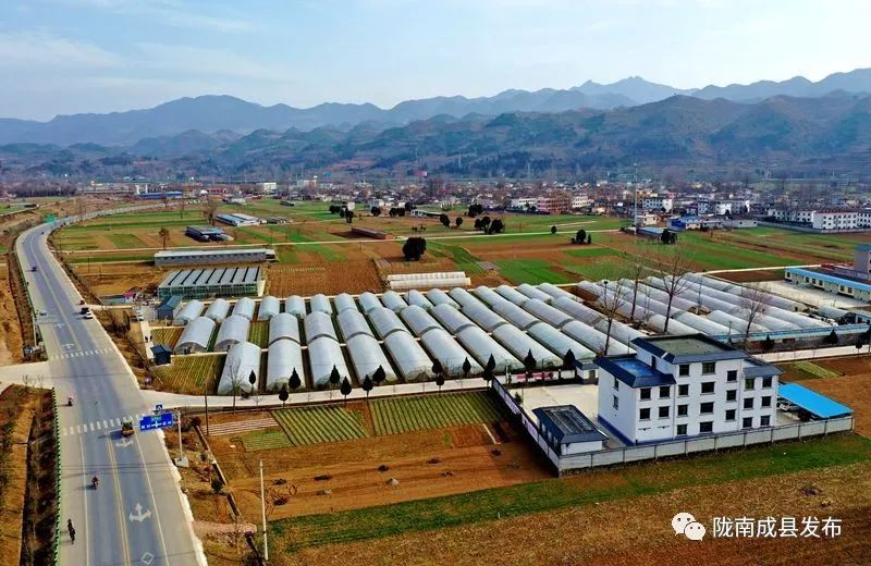 重逢——复苏的成州