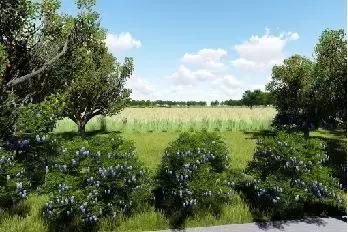 国家新建立的生态公园,占地四千亩的公园