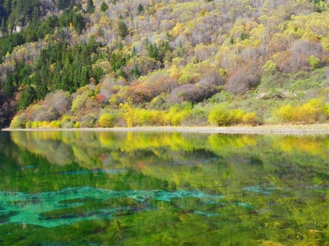 成都九寨沟几月份去好,九寨沟和稻城几月份去