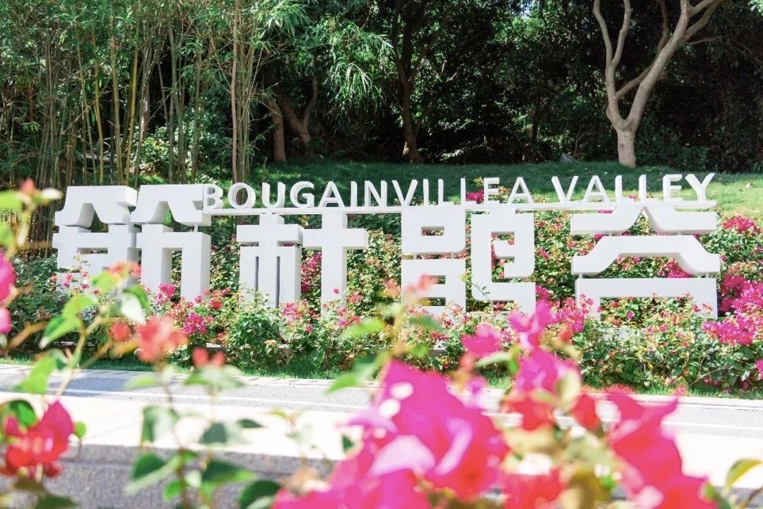 深圳游玩合集,深圳世界之窗游玩攻略必玩项目