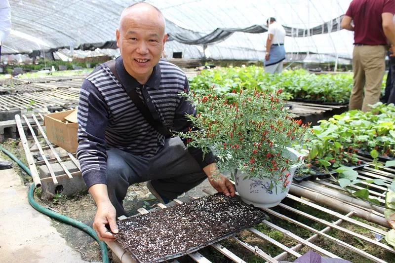 抢名额，19期中国无土栽培和土壤种植技术升级集成培训会