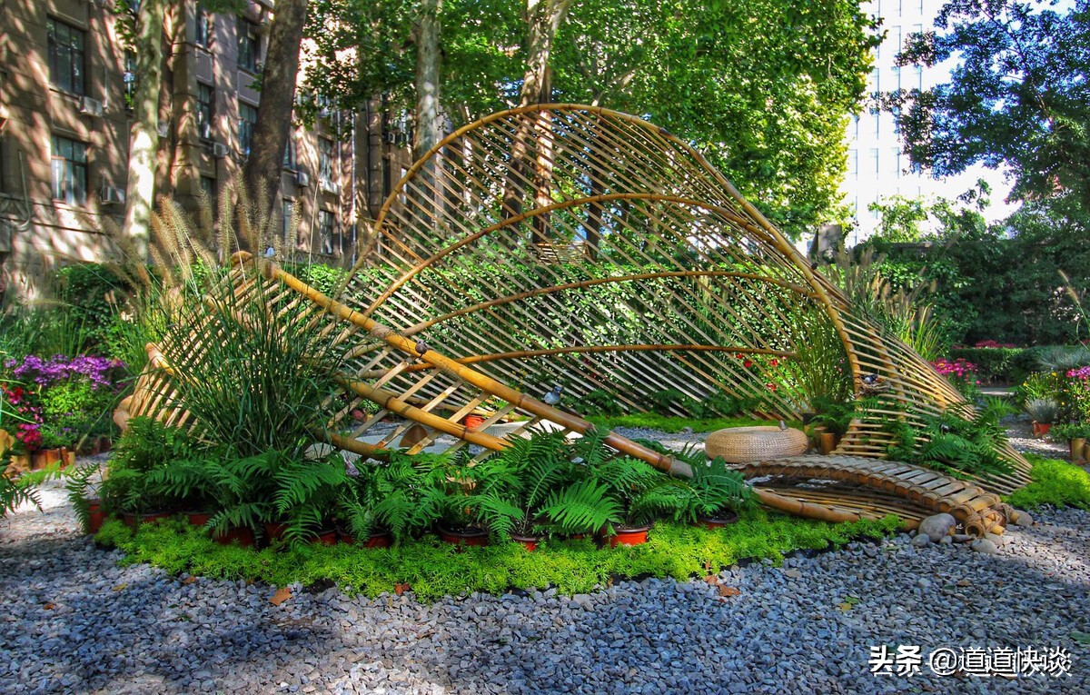 北京林业大学是世界顶尖的大学吗,北京林业大学口碑怎么样好就业吗